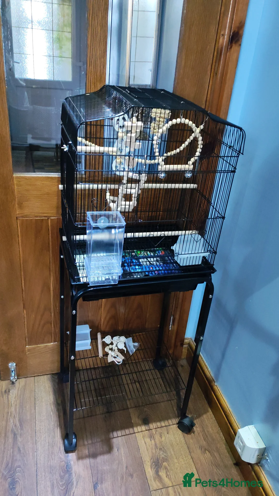 Budgerigars birds for sale: Budgie + Cage set up - Advert 2