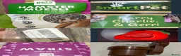 Hamster rodents for sale: Friendly Syrian Hamster + Full Deluxe Setup - Advert 7