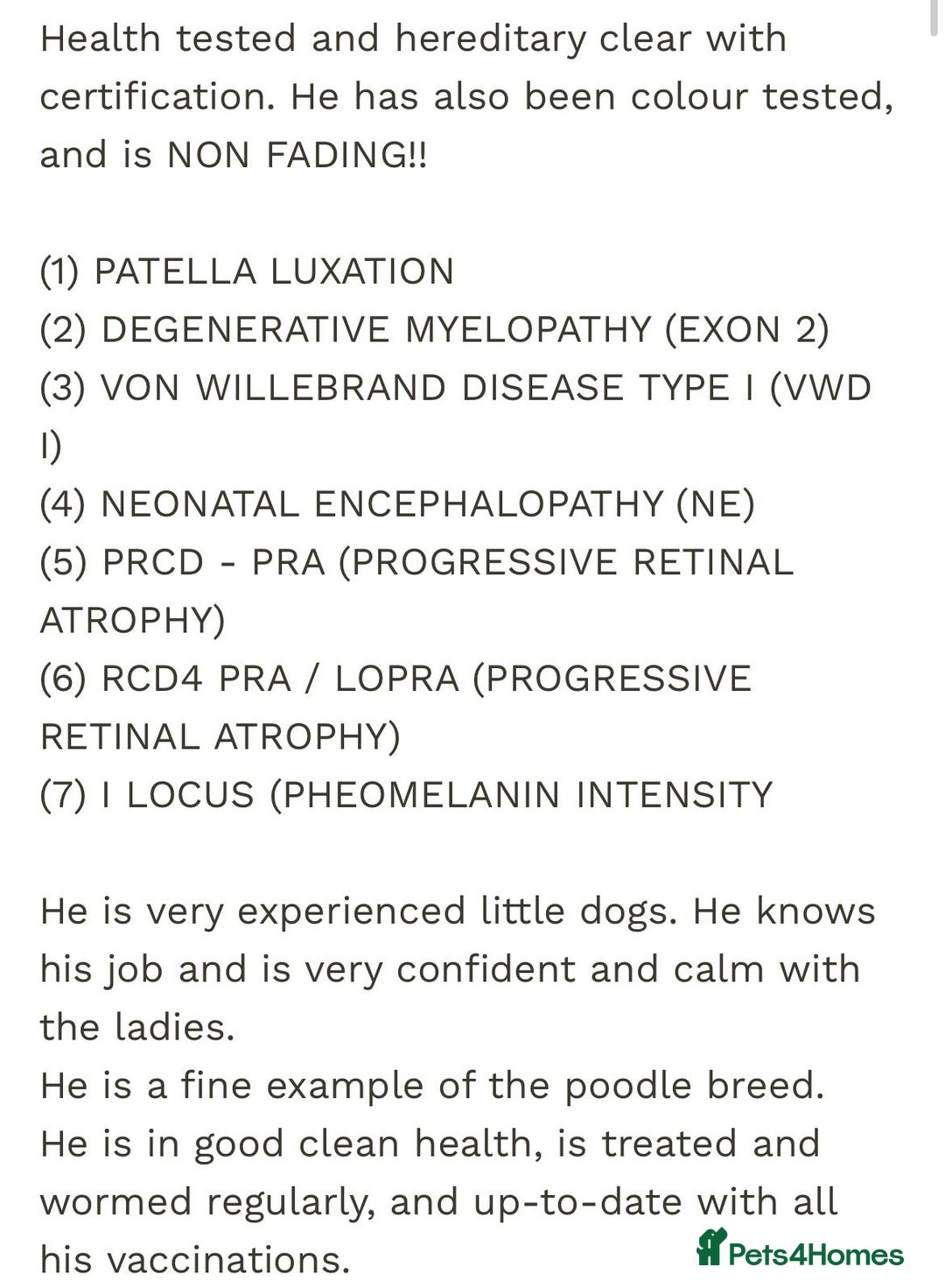 Cockapoo dogs for sale: F1 cockerpoos  - Image 12