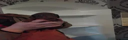 Miniature Dachshund dogs for sale: Kc reg miniature dashchund puppies  - Advert 8