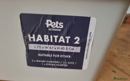 Hamster rodents for sale: Friendly syrian hamster to sell ASAP - Image 6