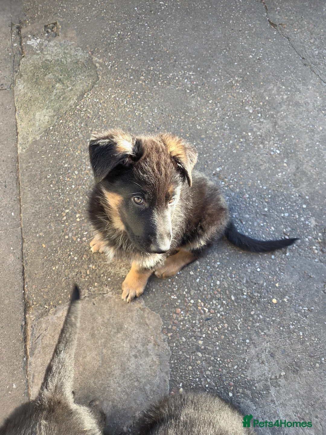 Gallery Image {{count}}