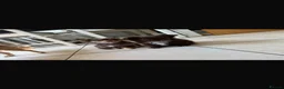 Chihuahua dogs for sale: Beautiful long hair Chihuahua - Advert 5