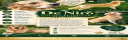 Golden Retriever dogs for stud: De niro golden boy  - Advert 1