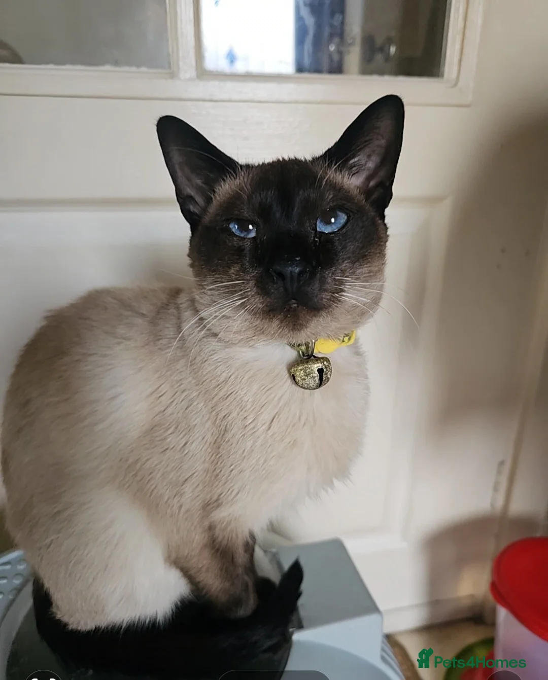 Gallery Image {{count}}