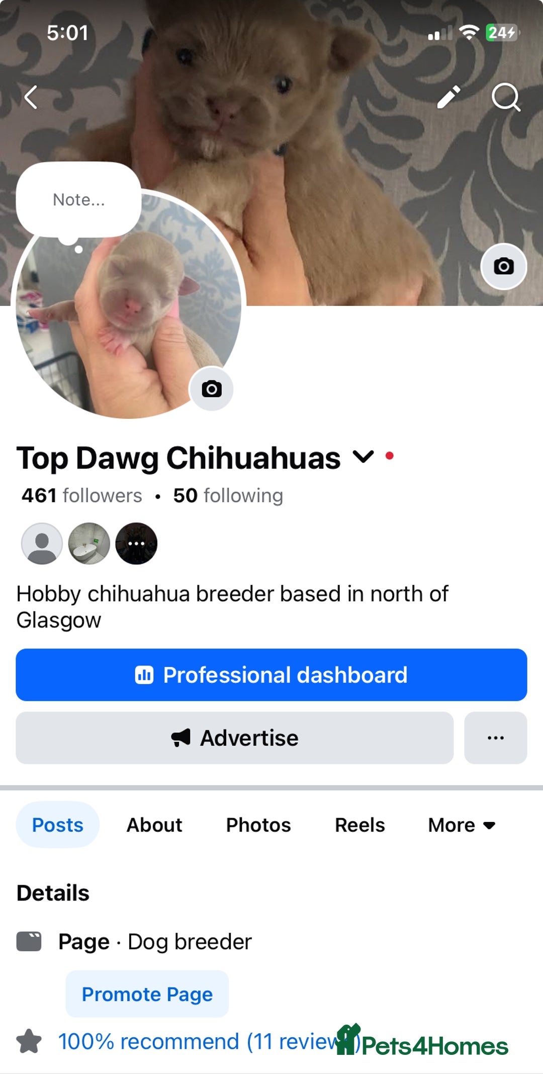 Chihuahua dogs for sale: ❌❌❌ Beautiful Chihuahua Pupppies ❌❌❌ - Image 8