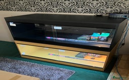 Bearded Dragon reptiles for sale: New Bearded Dragon Vivarium Setup Kits in Downham Market - Image 1