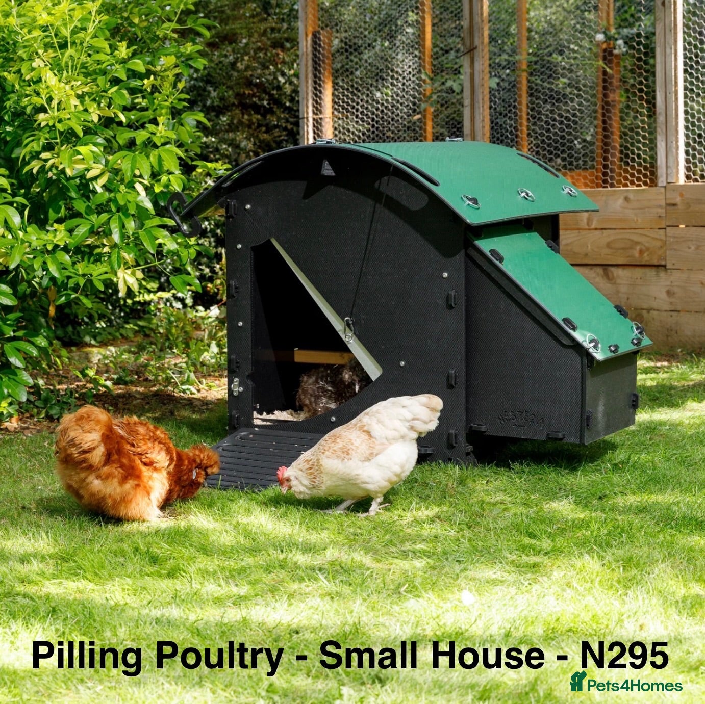 Chickens poultry Pilling Poultry - Chicken House - Small - Advert 1