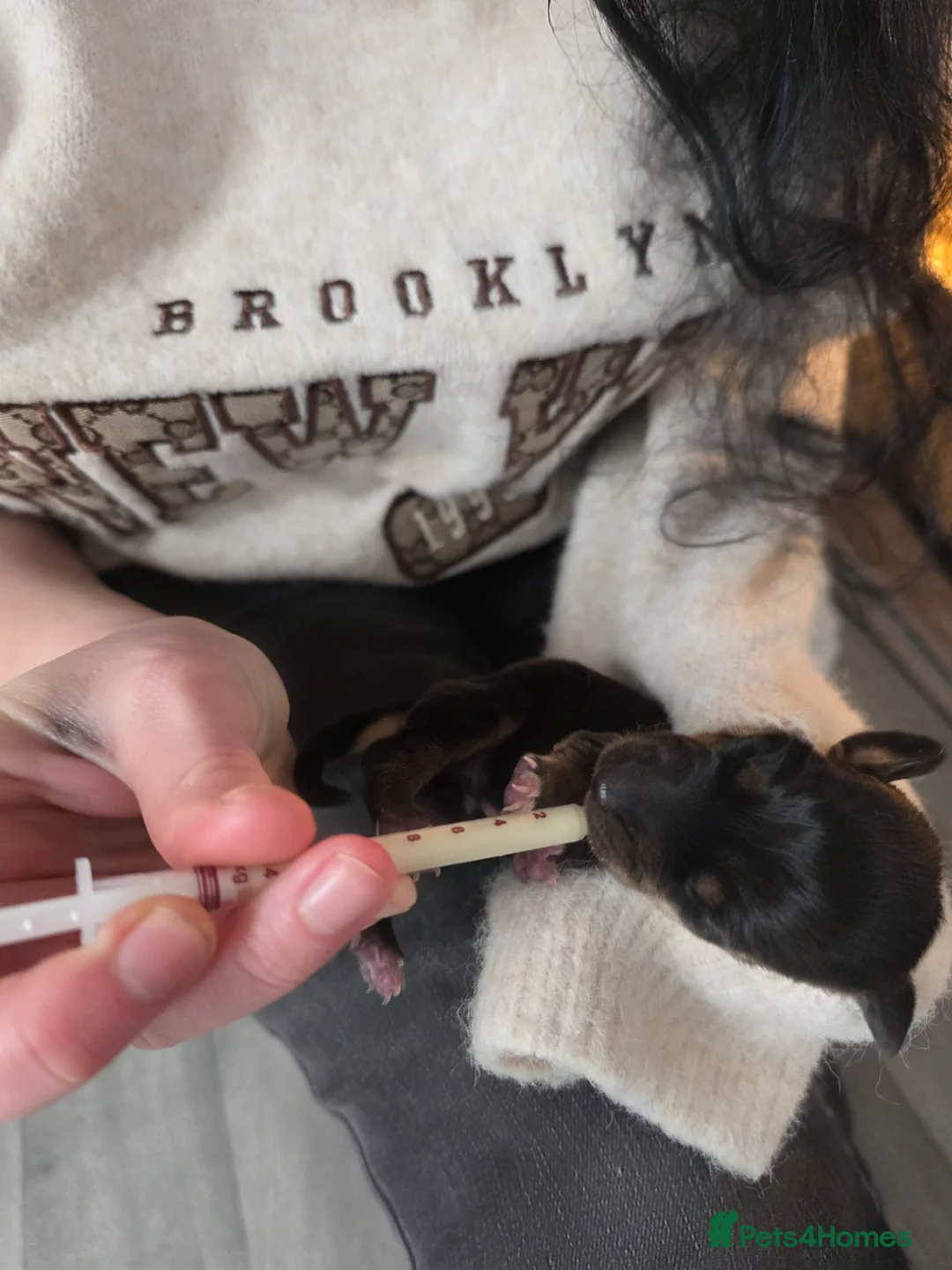 Gallery Image {{count}}