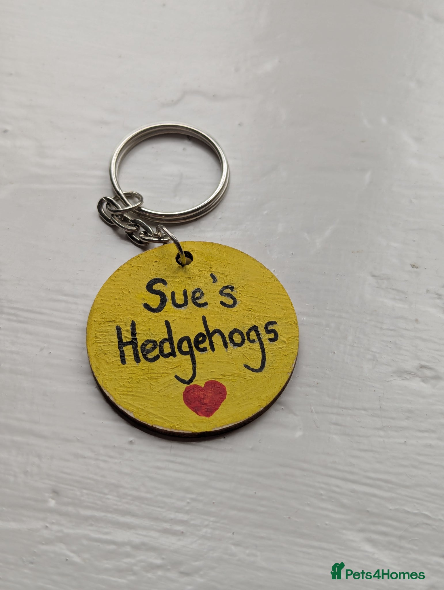 Pygmy Hedgehog rodents REDUCED HOGLETS!!! Ready Now!!! - Advert 2