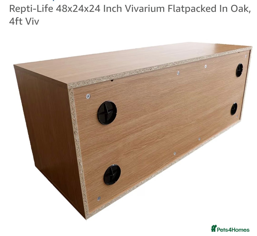 Corn Snake reptiles for sale: Cornsnake - Image 5