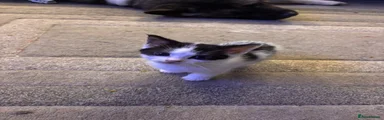 Boy 2