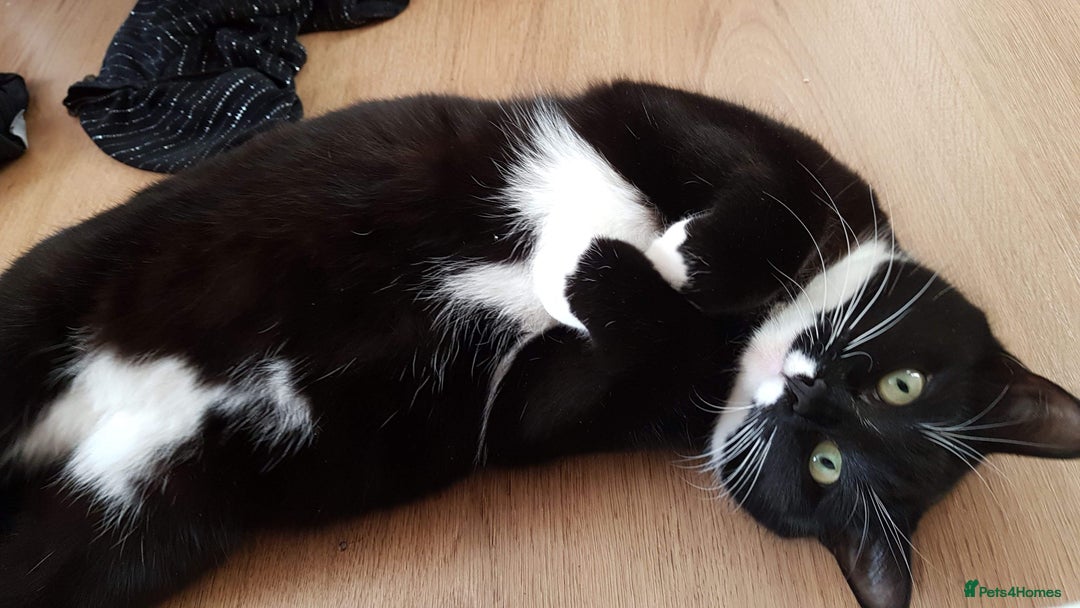 Gallery Image {{count}}