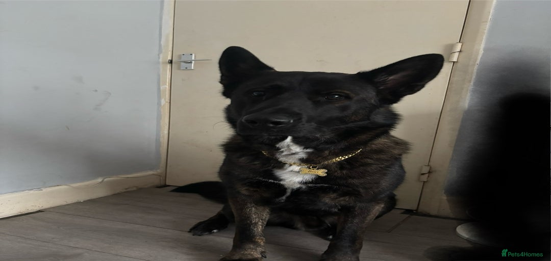 Gallery Image {{count}}