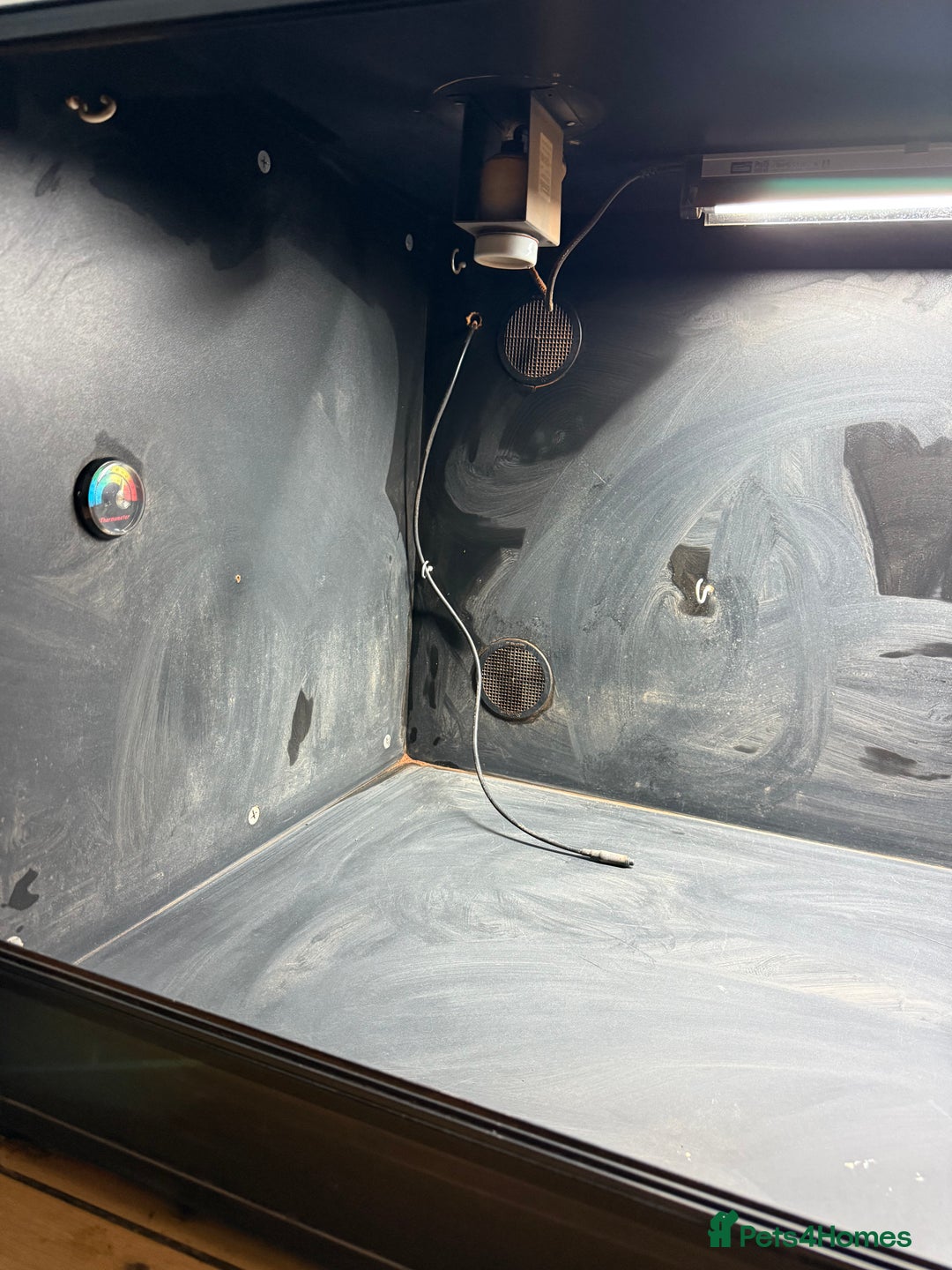 Bearded Dragon reptiles for sale: Bearded dragon vivarium with fittings  - Advert 3