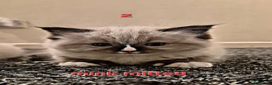 Ragdoll 2