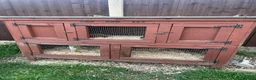 Guinea Pig rodents for sale: Two male guinea pigs need rehoming  in Heanor - Advert 5