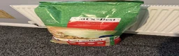 Domestic Shorthair cats for sale: Sandwich - Advert 24