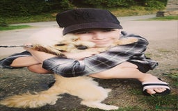 Cavapoo dogs for sale: Toy Cavapoo puppies - Image 32