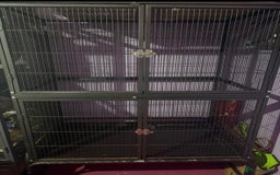 Rat rodents for sale: Pet planet cage only no animals  - Image 1