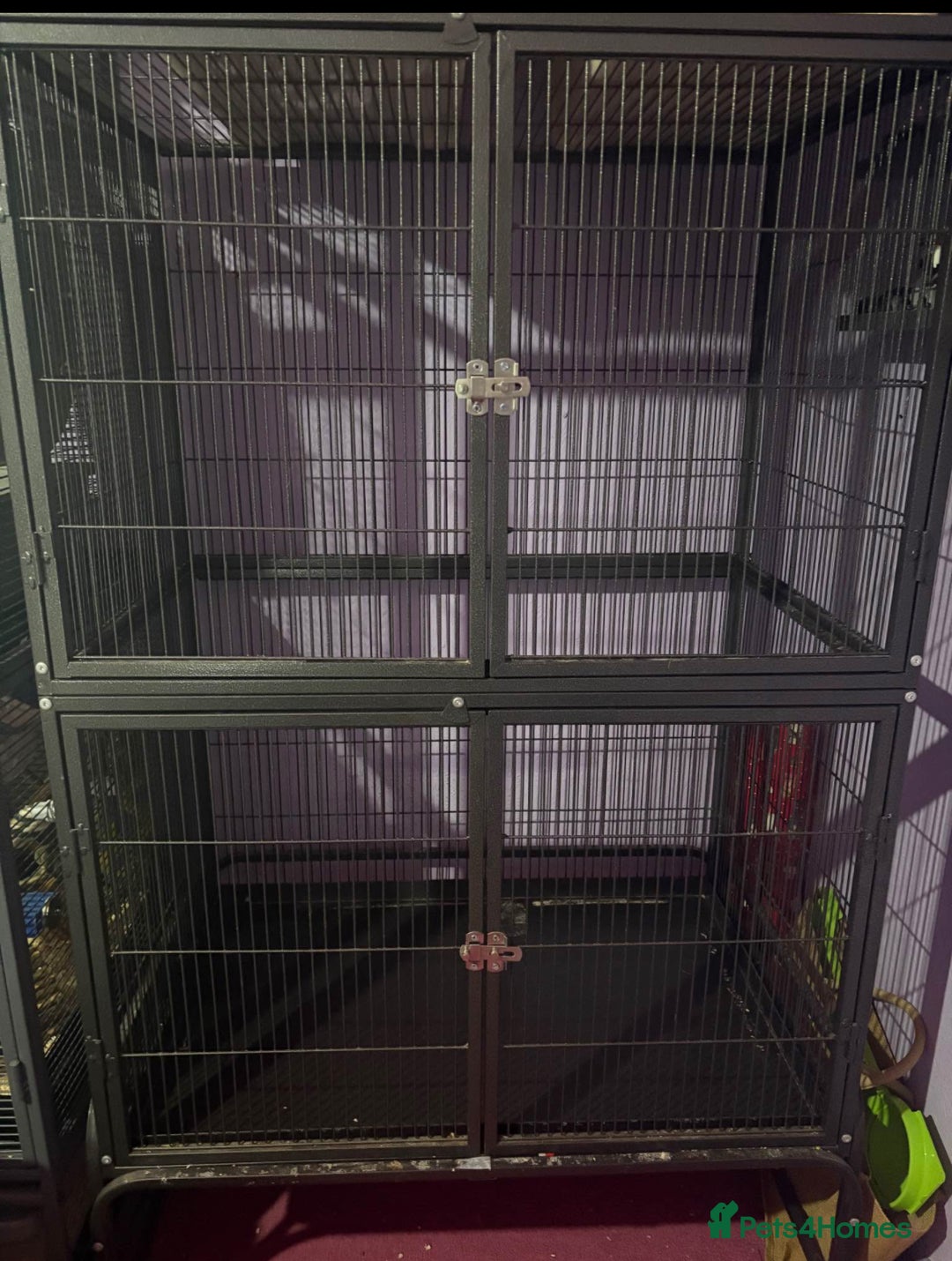 Rat rodents for sale: Pet planet cage only no animals  - Image 1