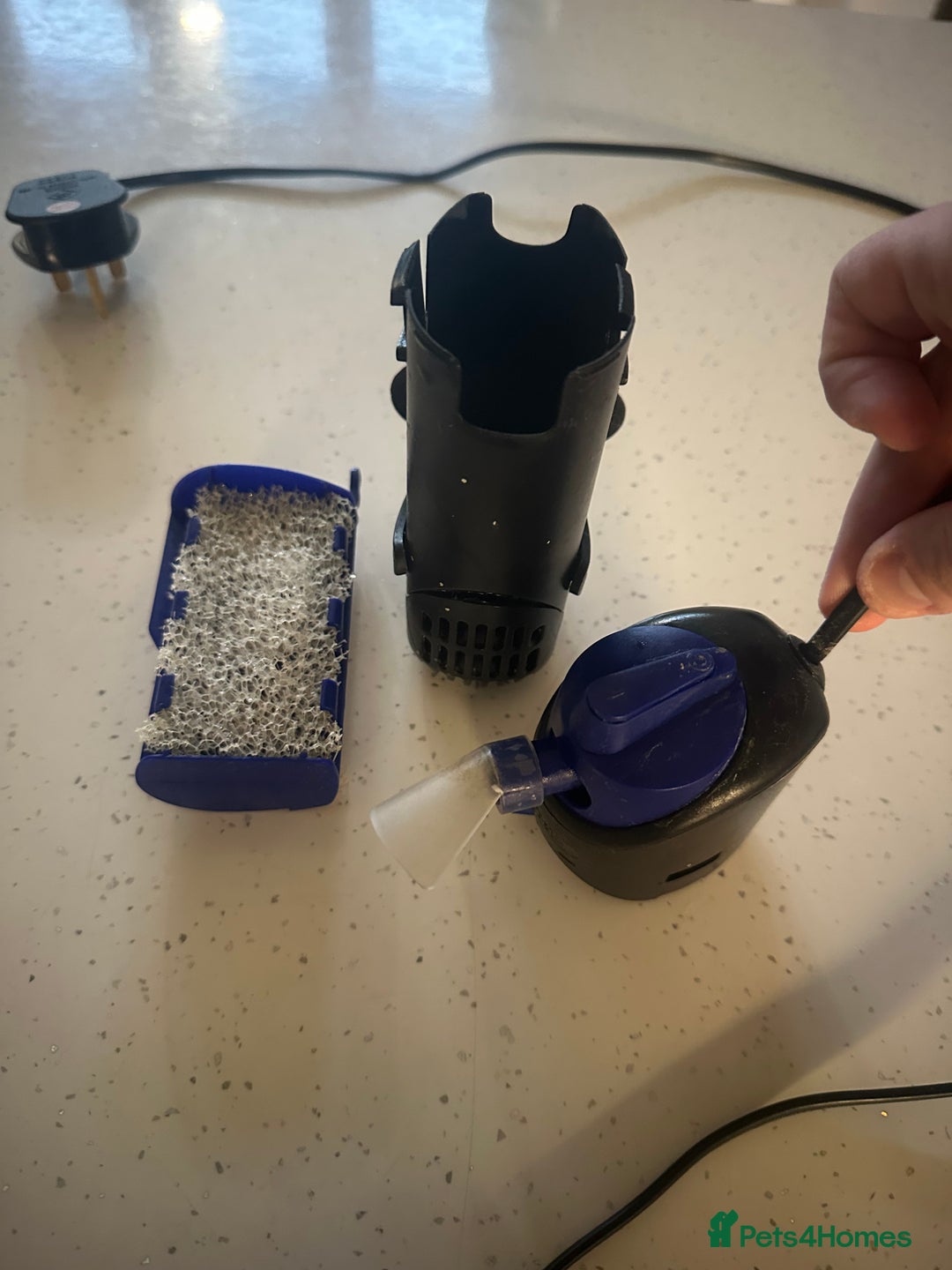 Angelfish fish for sale: Fish tank starter kit - Advert 14