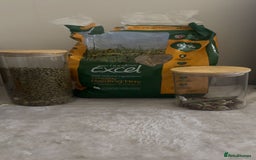 Mini Lop rabbits for sale: House trained female mini lop rabbit & full setup - Image 4