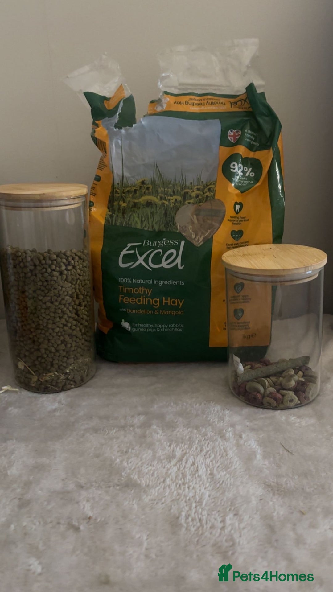 Mini Lop rabbits for sale: House trained female mini lop rabbit & full setup - Image 4