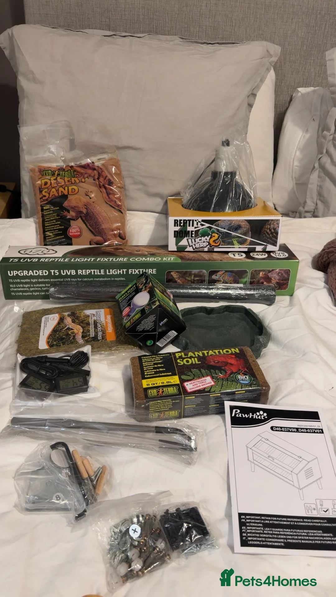 Bearded Dragon reptiles for sale: Bearded Dragon Full Setup - URGENT REHOMING - Advert 4