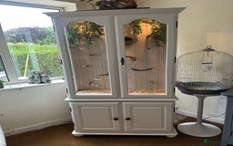 Finches birds for sale: Solid wood Avairys or Vivariums - Image 1