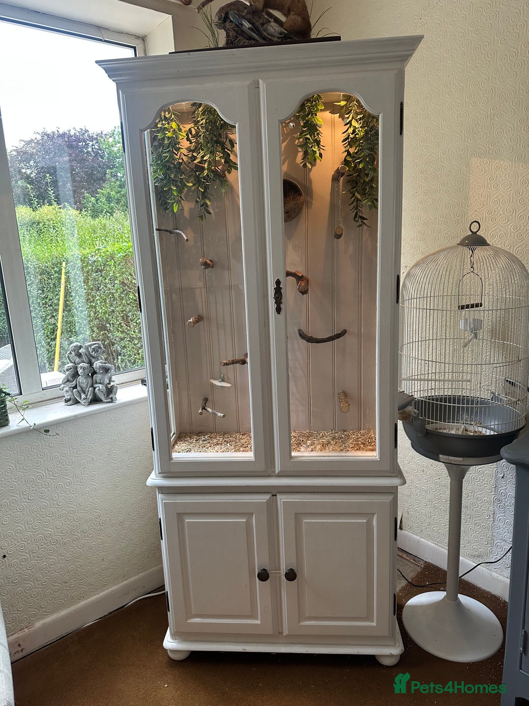 Finches birds for sale: Solid wood Avairys or Vivariums - Image 1