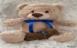 Poochon dogs for sale: Beautiful Poochon Puppies 🐾 - Image 10