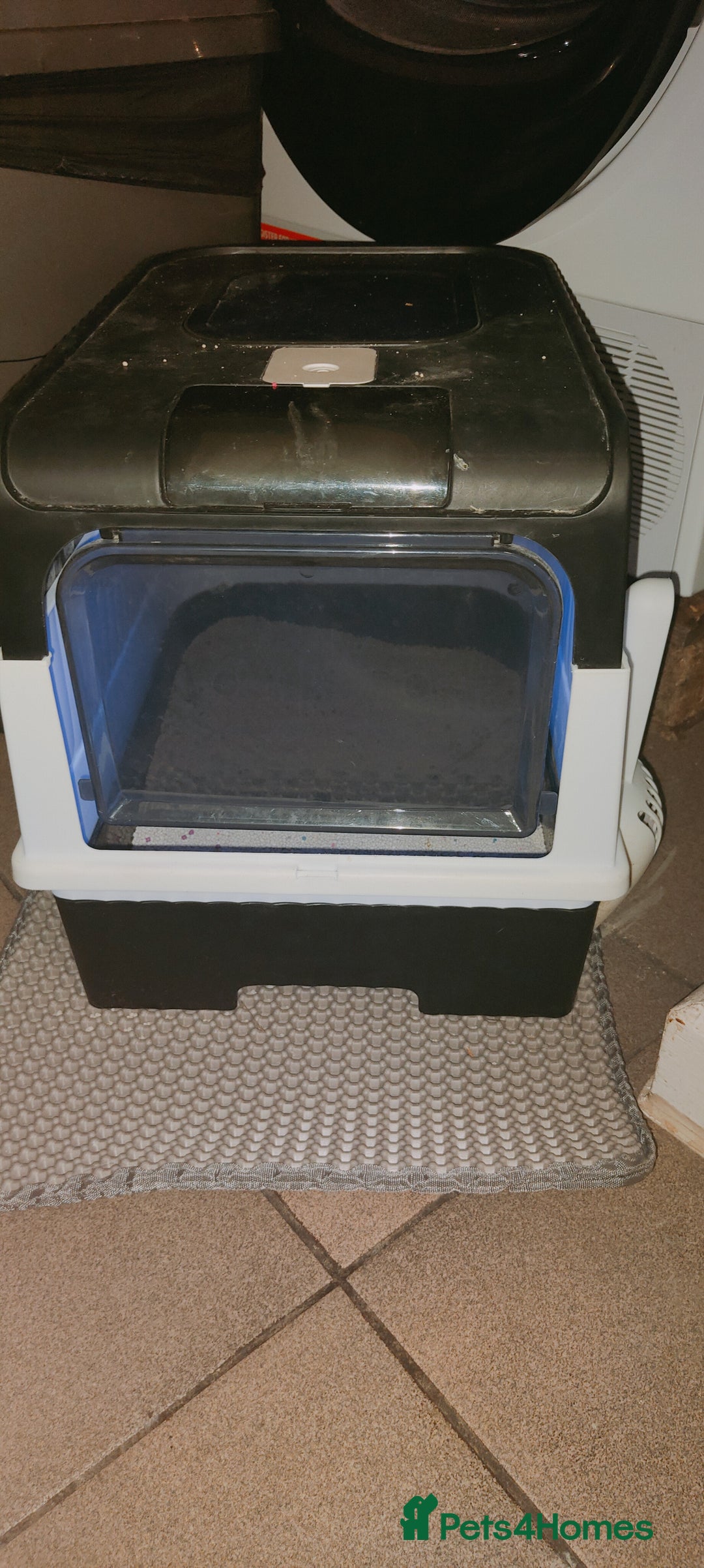 Ragdoll cats for sale: Ragdoll mix bred - Advert 4