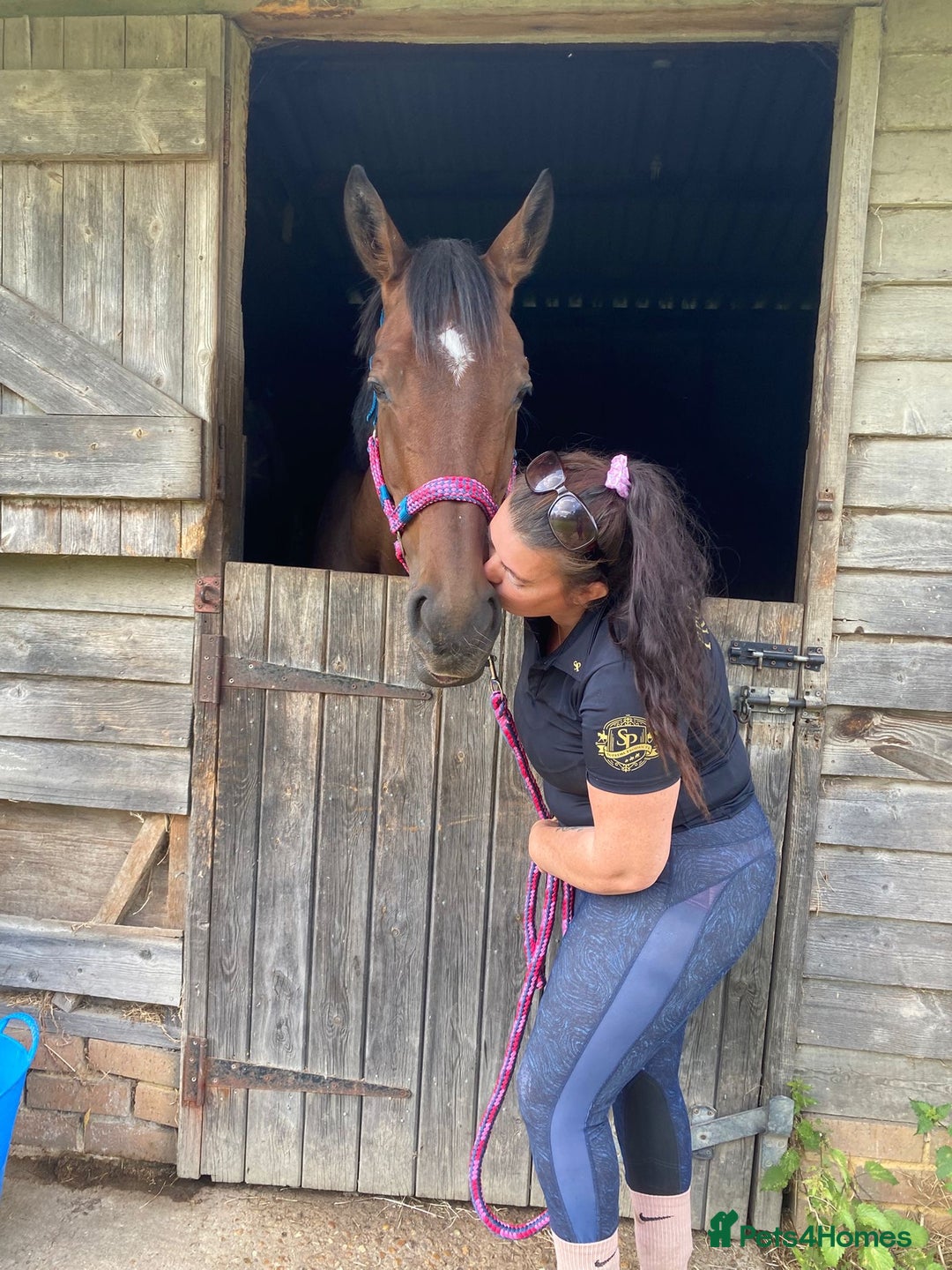 Irish Sports horses for sale: Teens horse / mother / daughter share - Image 22