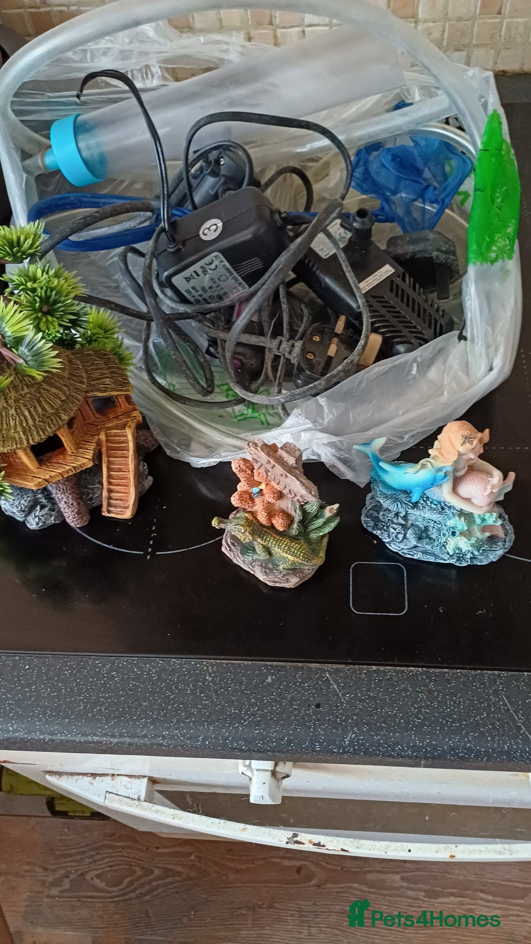 Angelfish fish for sale: New fish tank filters pumps heater other items - Advert 1