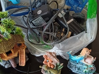 Angelfish fish New fish tank filters pumps heater other items - Advert 1