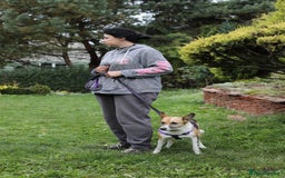 Mixed Breed dogs for adoption:  ❤️🐶Lanie 4-year-old girl with golden heart❤️🐶 - Advert 10