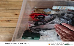 Cichlids fish for sale: Professional tropical aquarium set up - Image 17