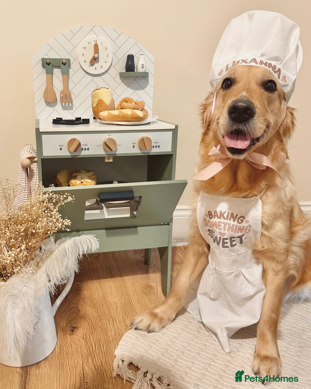 Golden Retriever dogs for sale: 🤍🧸 last puppy girl looking for her forever home - Advert 2