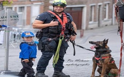 Belgian Shepherd Dog dogs for sale: KC registered Belgian Malinois – Stable,Balanced🐾 - Image 25
