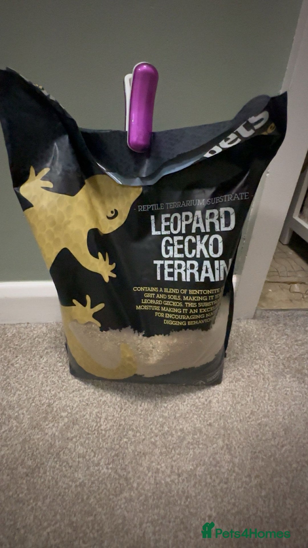 Leopard Gecko reptiles for sale: Gecko/Lizard cage  - Image 5