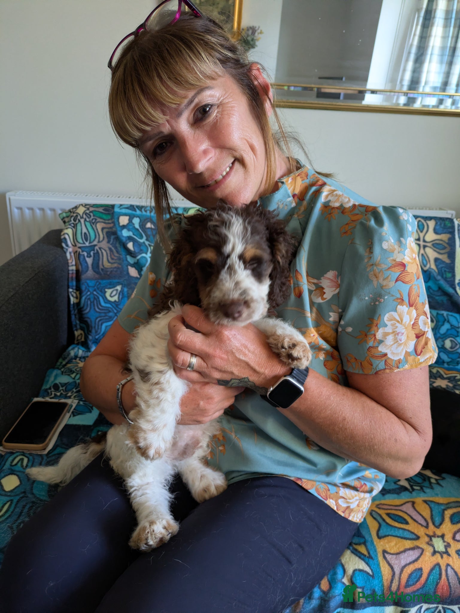 Cockapoo dogs 5 ⭐ DNA tested F1 cockapoos - Advert 2