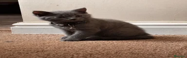 Stormy