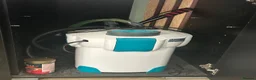 Other/Mixed Breed fish for sale: Fish tank  in Ipswich - Advert 3