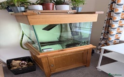Turtle reptiles for sale: Mississippi Map Turtle & Tank - Image 8