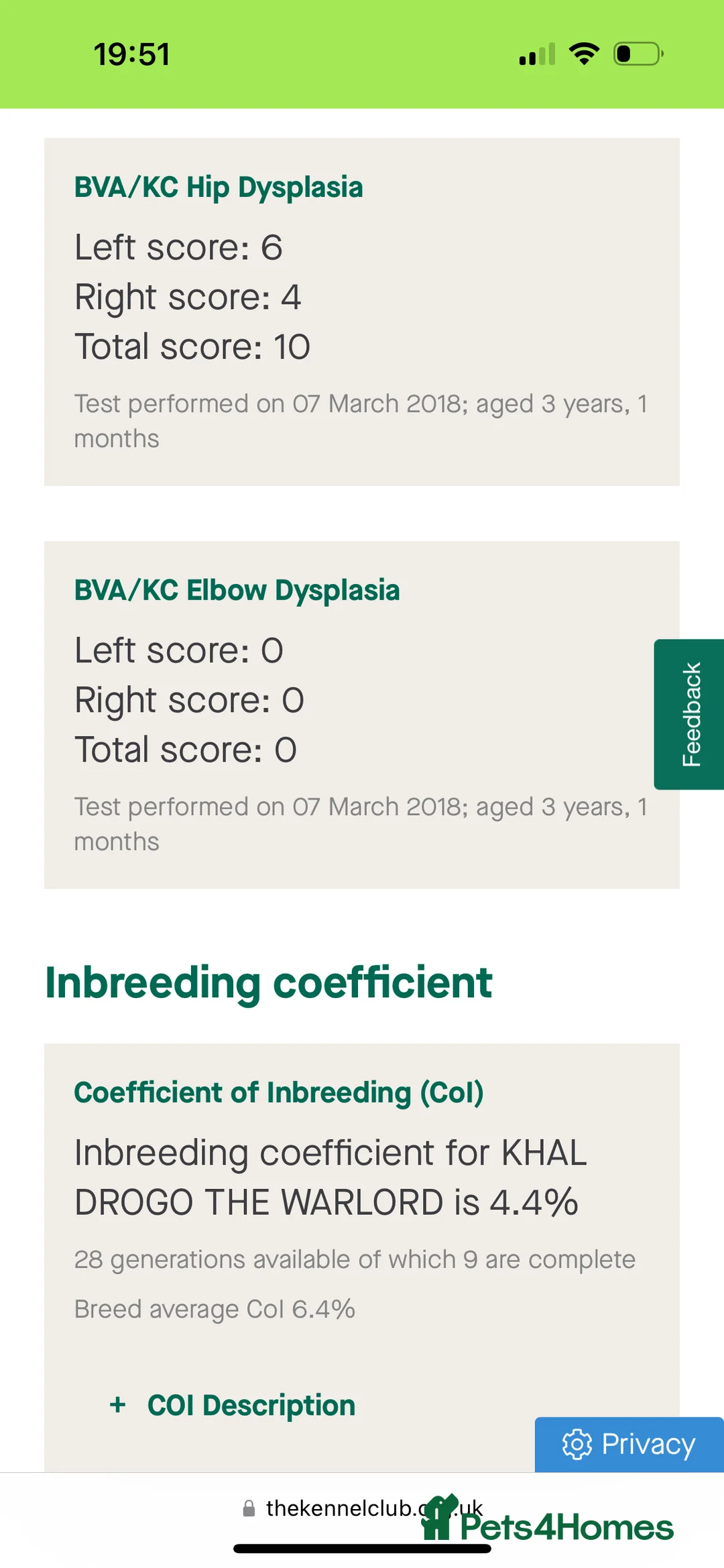 Labrador Retriever dogs for stud: Fully Health Tested Fox Red Labrador at Stud in Peterborough - Advert 3