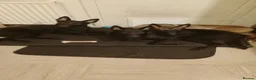 Belgian Shepherd Dog dogs for sale: 3 Belgian malinos puppies for sale  - Advert 2