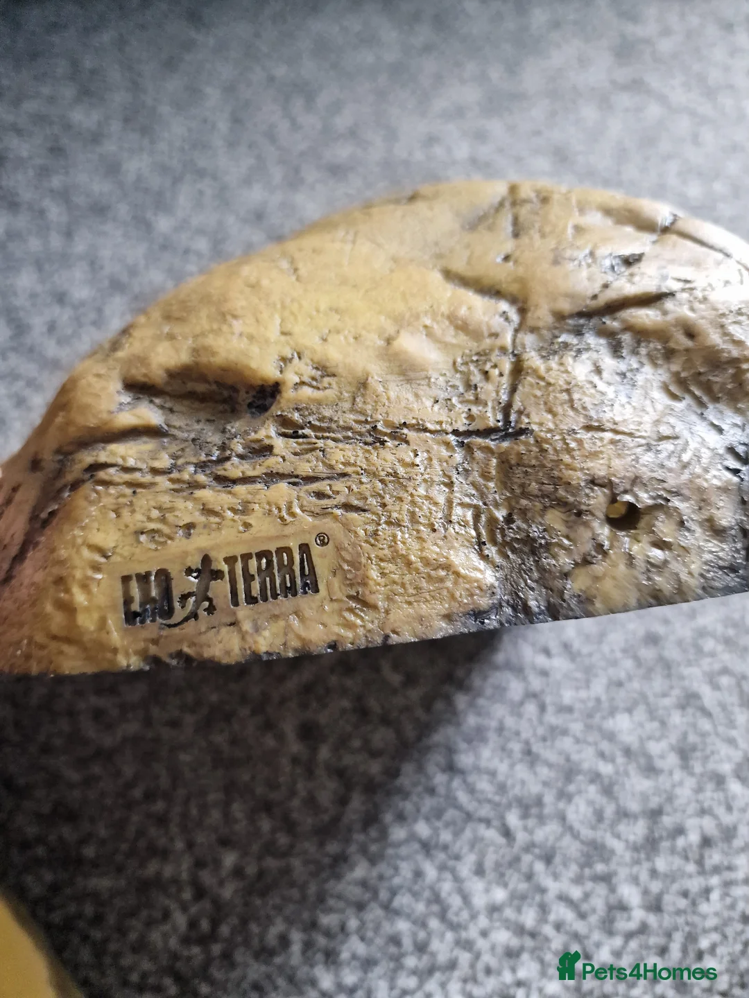 Snake reptiles for sale: 15 month old royal python plus complete set up - Advert 12