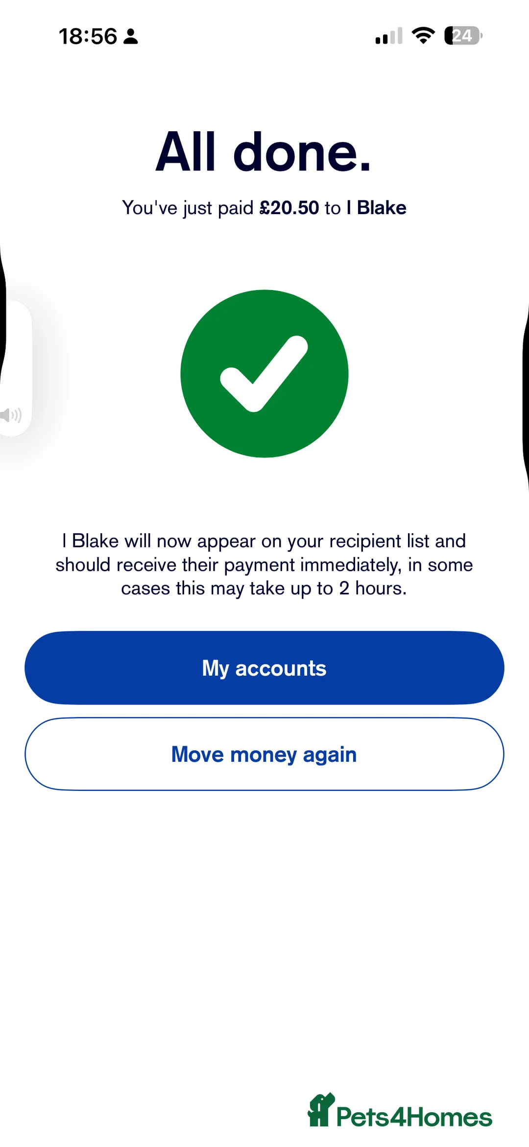 French Bulldog dogs for sale: Male kc reg blue/merle frenchbulldog - Advert 6