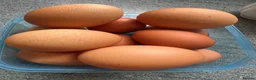 Hens poultry for sale: Hybrid lying eggs hens  - Advert 5